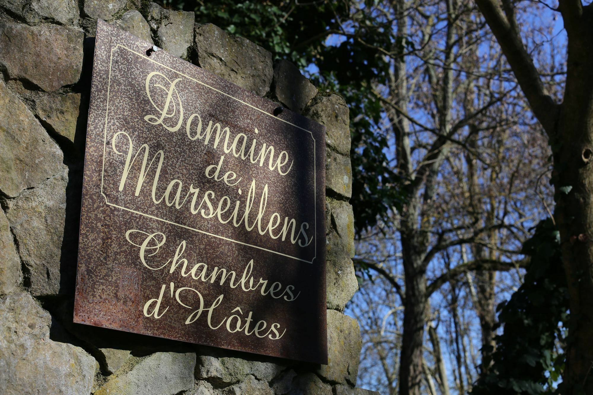 Bed and Breakfast Domaine De Marseillens Palaja Exterior foto